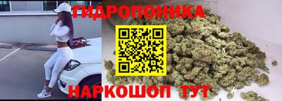 2c-b Кимры
