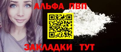 ешки Кингисепп