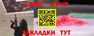 ешки Кингисепп